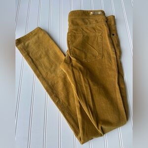 Pilcro and the Letterpress Mustard Yellow Serif Corduroy Skinny Pants Sz:27